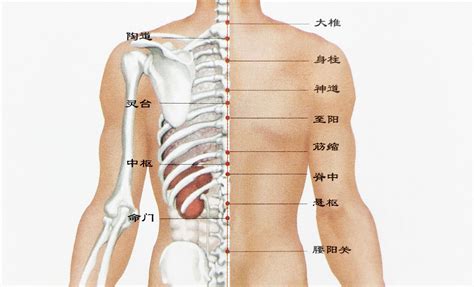 脊椎上有痣